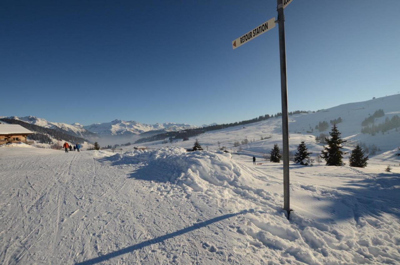 Chalet A, Village Des Lapons Les Saisies, 3 Chambres Et 1 Espace Nuit Mezzanine Экстерьер фото